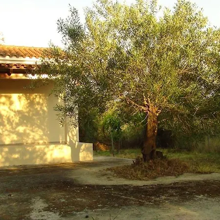 Apollon House Near The *