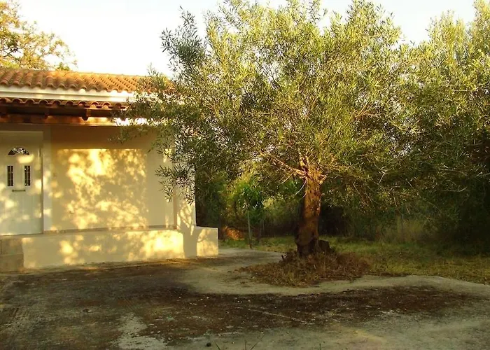 Apollon House Near The *